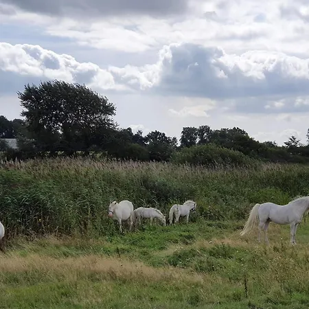 Ferienhaus 7 Person In Nordborg-by Traum Nordborg Kommune