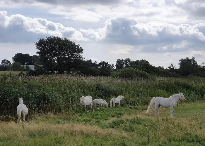 別荘 7 Person In Nordborg-by Traum ノーポ